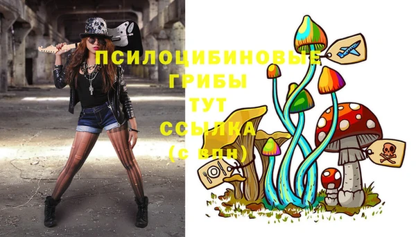 шишки Волоколамск