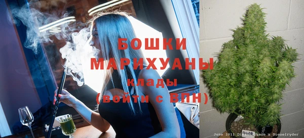 PSILOCYBIN Усинск
