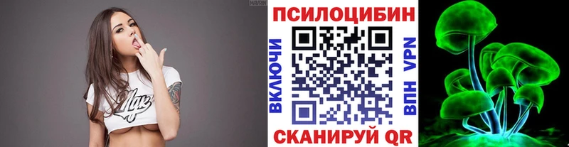 Галлюциногенные грибы Psilocybe  Мариинск 