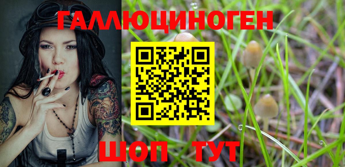 Псилоцибиновые грибы Cubensis  наркота  Мариинск  Вход с VPN 