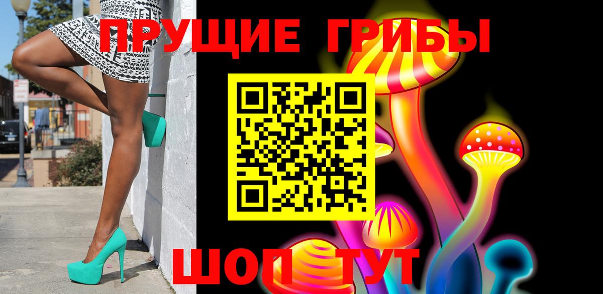 Псилоцибиновые грибы Cubensis Мариинск